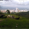 Caminata desde Pan de Azúcar hasta el km.5 vía a Cúcuta