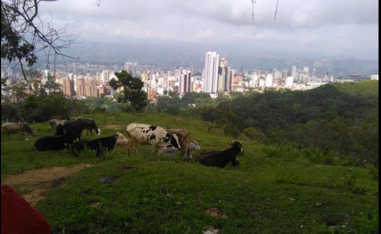 Caminata desde Pan de Azúcar hasta el km.5 vía a Cúcuta