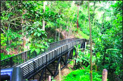 Parque Ecológico la Flora. Fuente: Alcadía de Bucaramanga